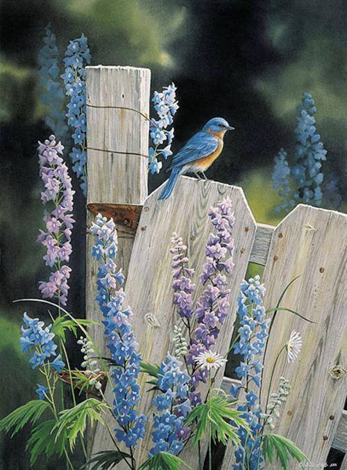 İsrafın lüzumu yok İsrafın lüzumu yok