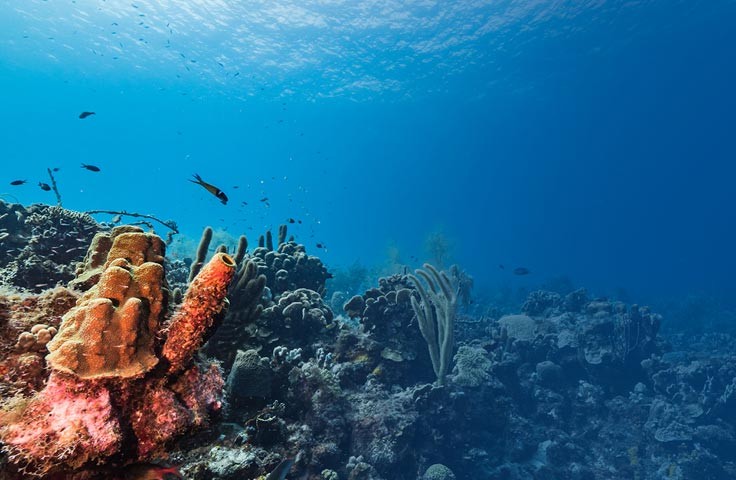 Deniz suyu niçin tuzludur&nbsp;?